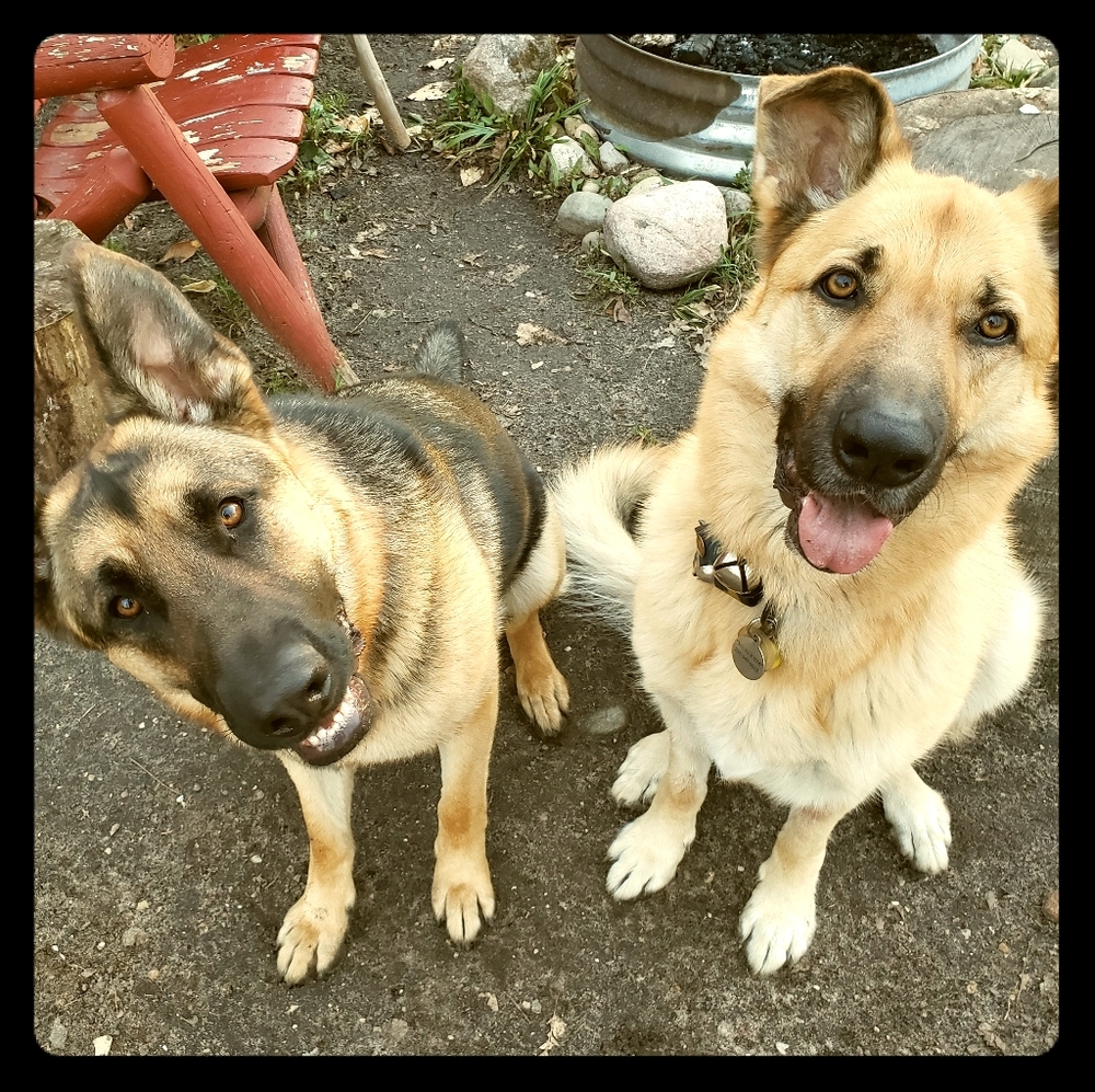 Meet your Posher, Haley